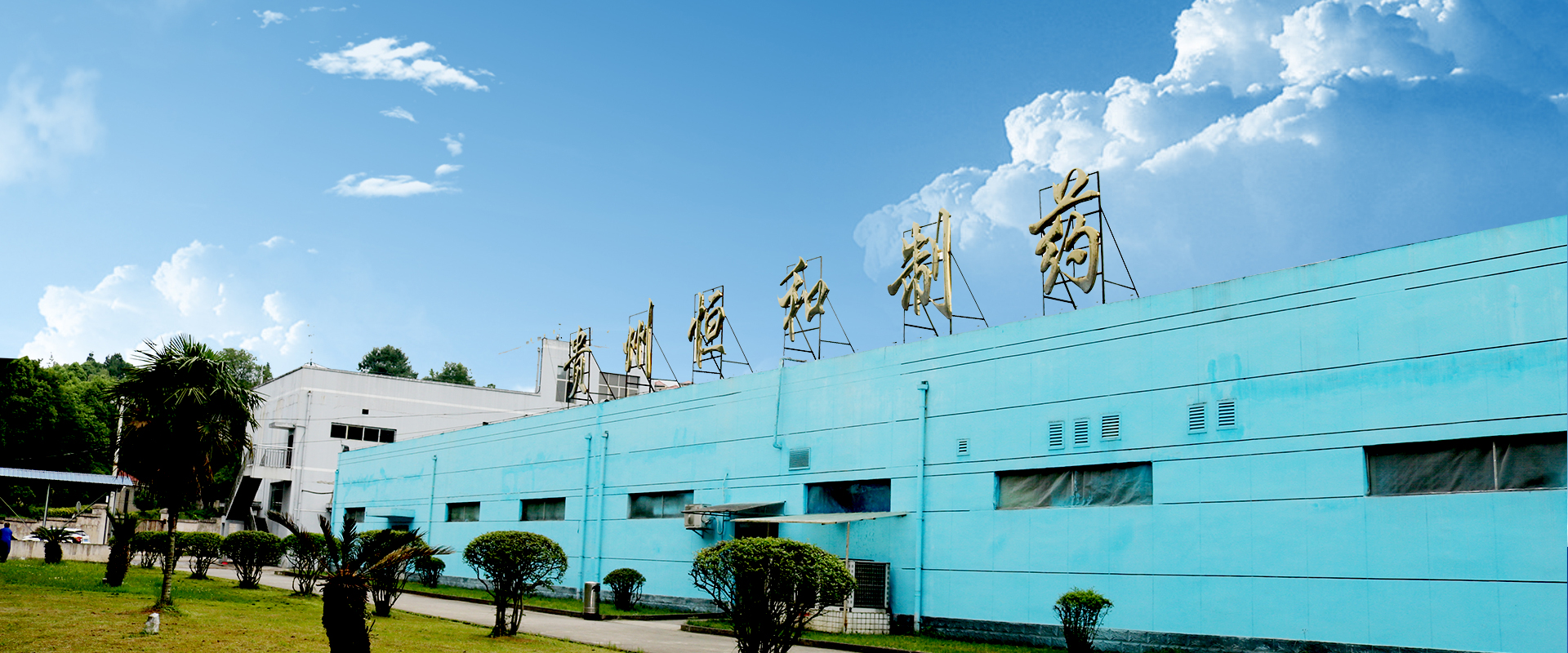 貴州恒和制藥